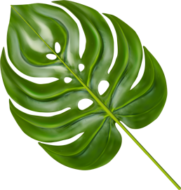 Makeup Artists in Brooklyn, NY